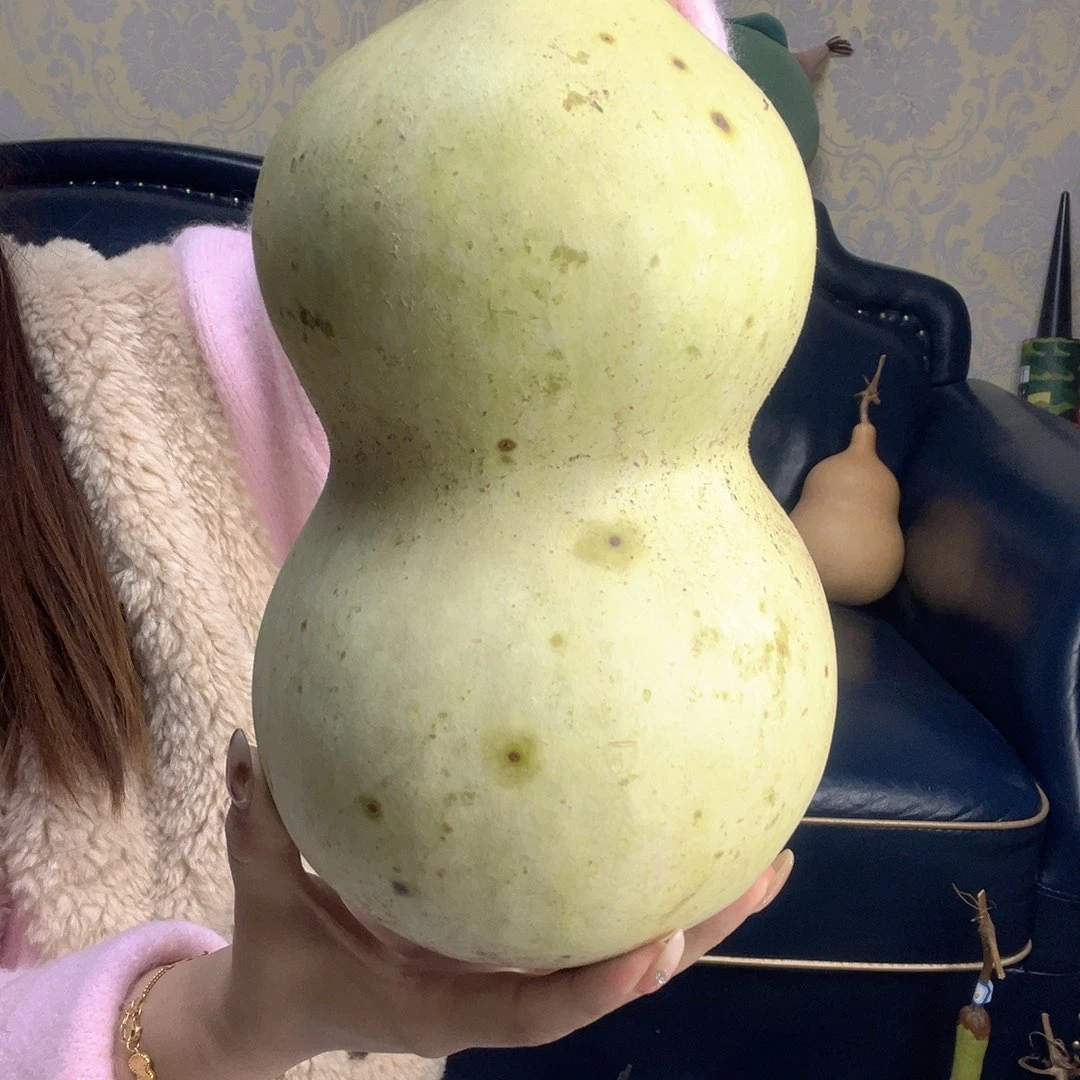 葫芦中国大陆若***乐