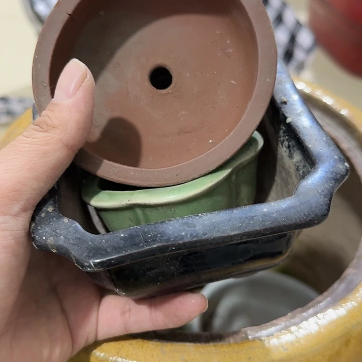 陌***颜扇子吃h哈哈哈别别扭扭扭扭捏捏