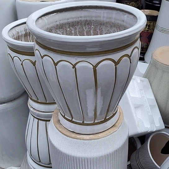 白南瓜中口26/28