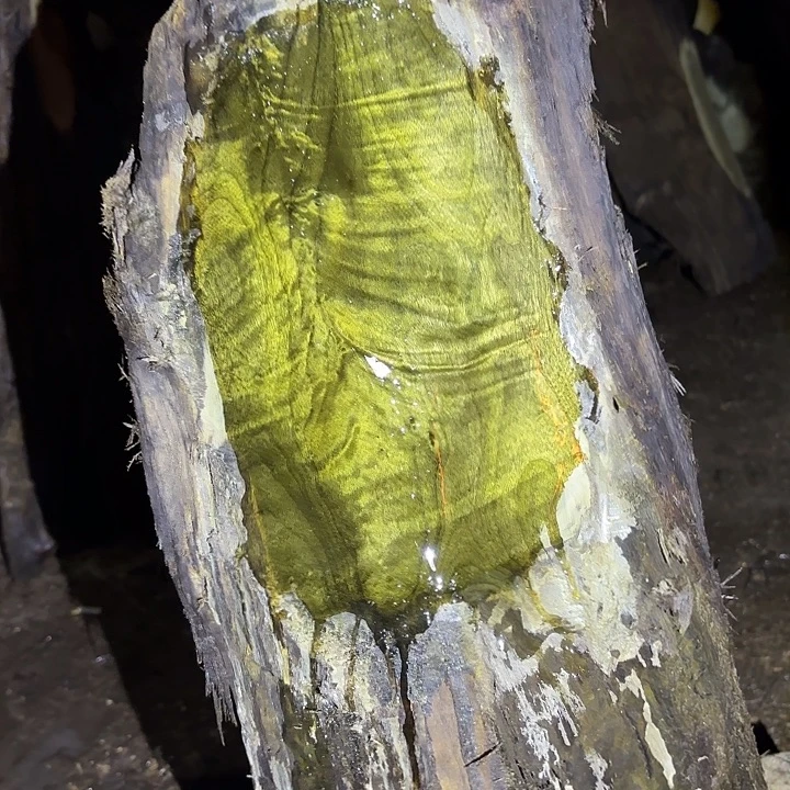 我***旅乌木金丝楠摆件毛料