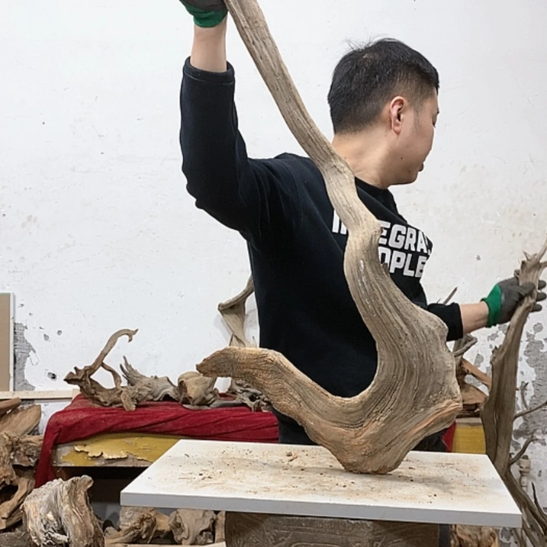 【闪购商品】柏木G我们都是好孩子