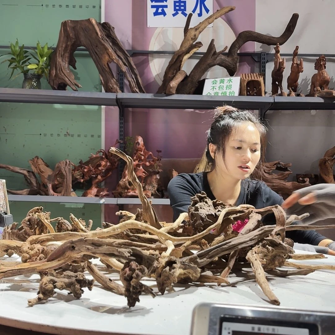 紫砂玲珑木枝条不包损3573云**流
