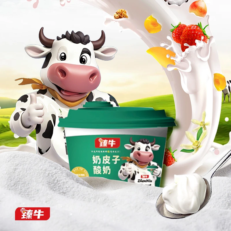 【热销爆品】奶皮子酸奶（到手6盒）