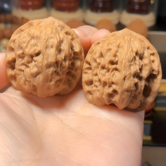 油蜡皮：野狼全品