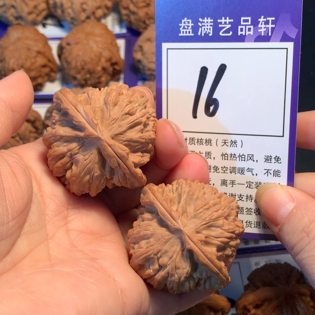 核桃16白狮子4.4全品