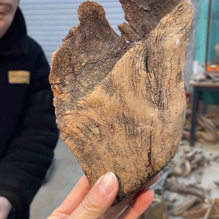 蹲****事我们都是好孩子呀