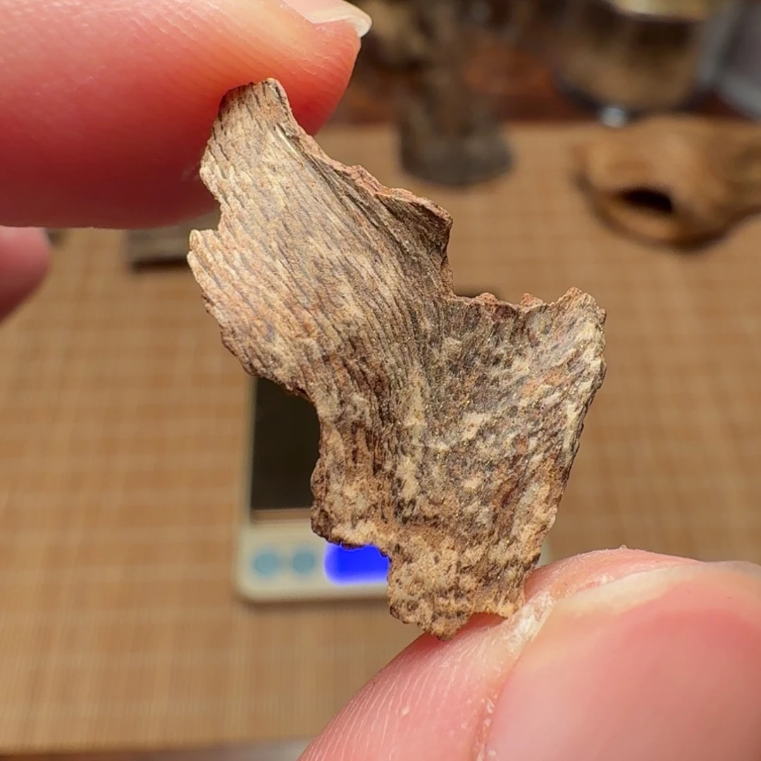 沉香香港壳子料子