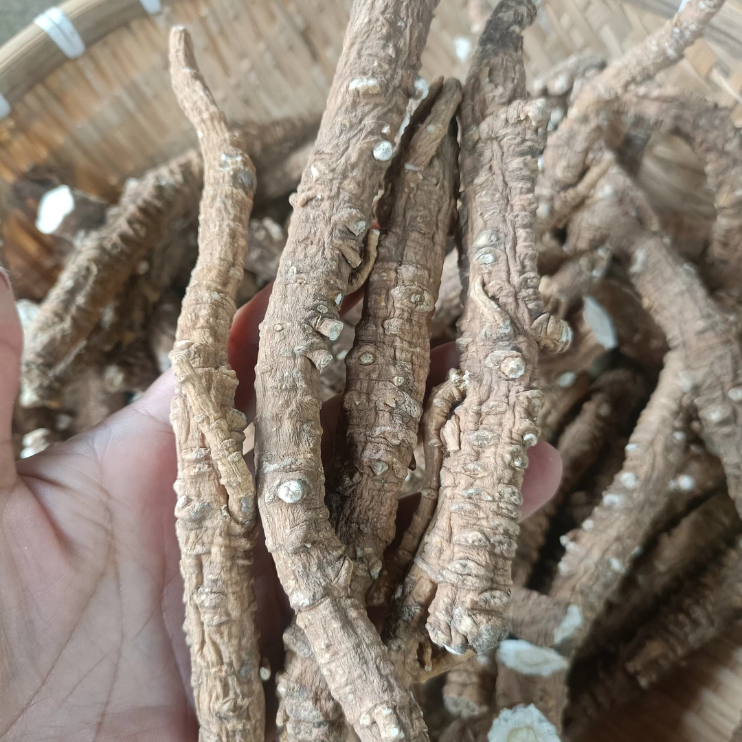 北纬二十五度   胡皮深～非香菇