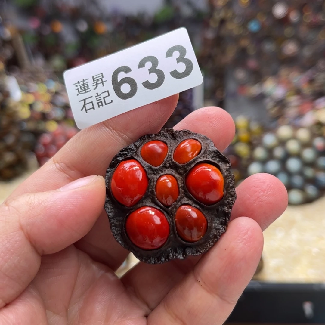 核桃木/黑胡桃（胡桃木）633
