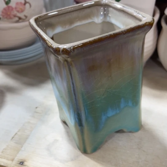 口径问客服，满9元包邮，水培在3链接