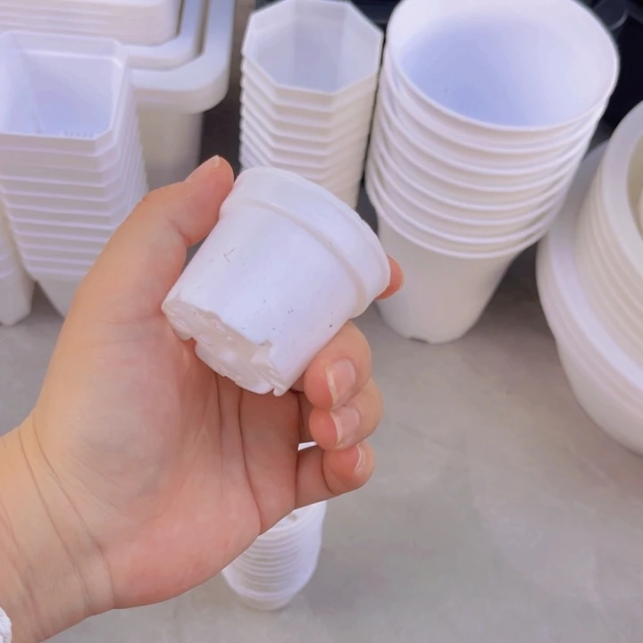 小圆盆口5高4一组30个