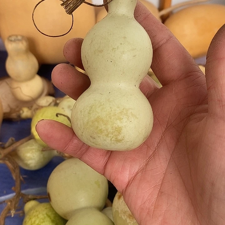 Y***C青皮葫芦手把件摆件