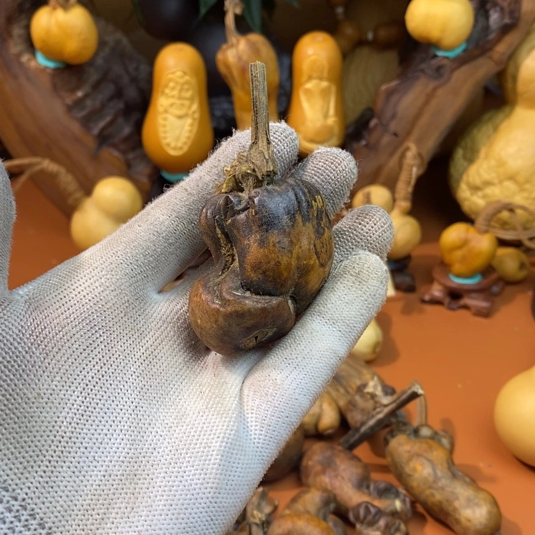 玩***妈教练咯教练咯教练咯