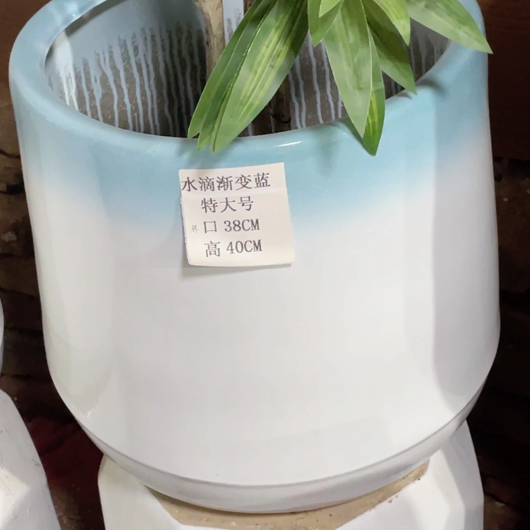 蓝口渐变色水滴特大号正常品