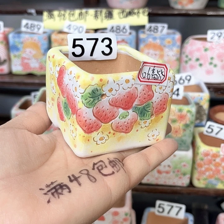 手工制作多肉植物花盆
