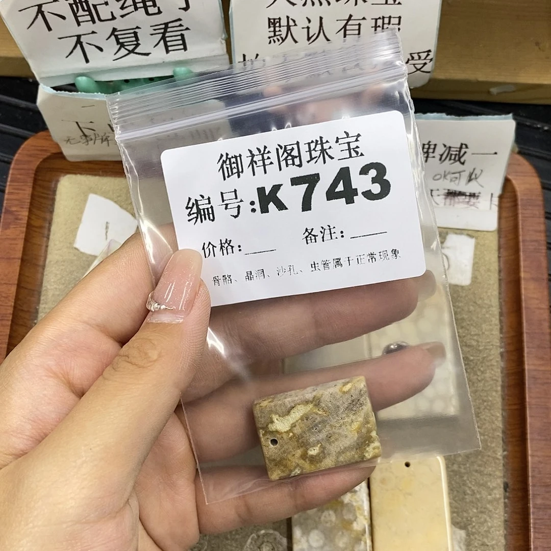 硅化珊瑚（珊瑚玉）未镶嵌颈饰一****儿
