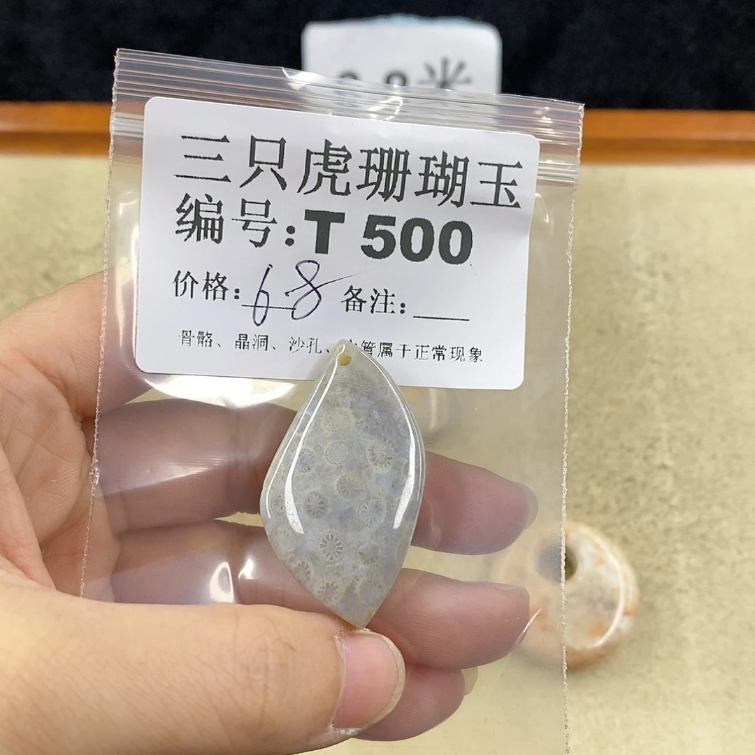 硅化珊瑚（珊瑚玉）1未镶嵌小***画