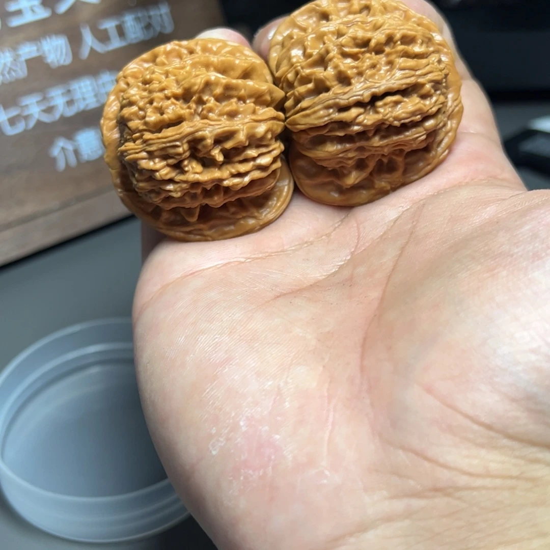 惹***四座楼。全品。