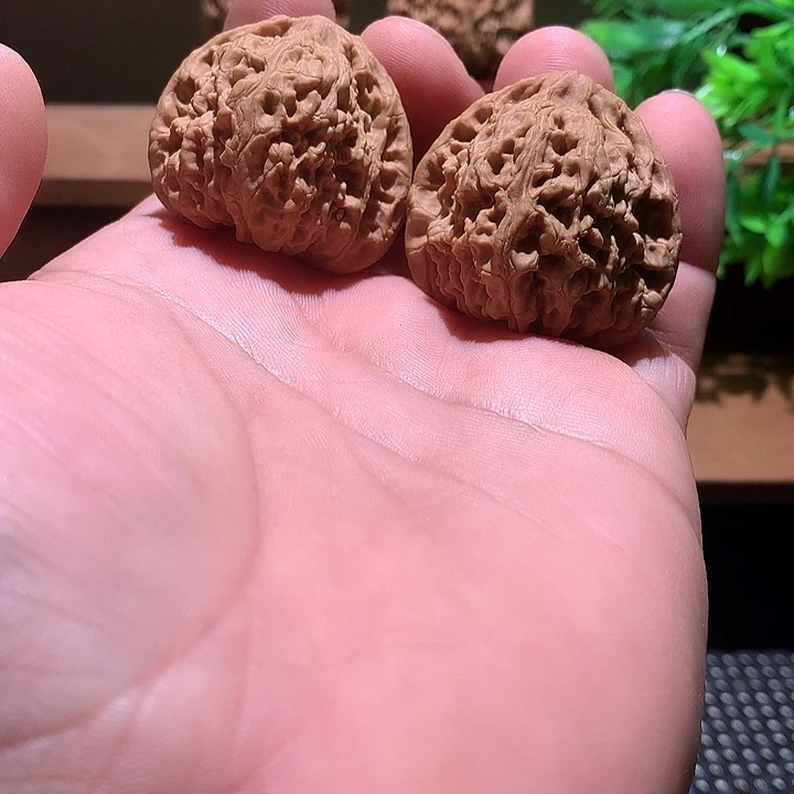 吕***吕涿鹿姜黄皮南将石