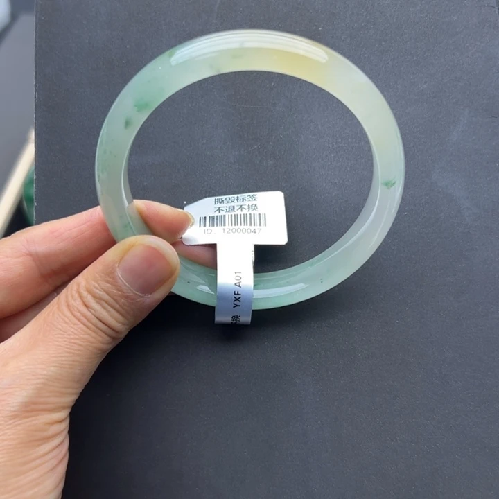 石英质玉未镶嵌手镯燕子➕64