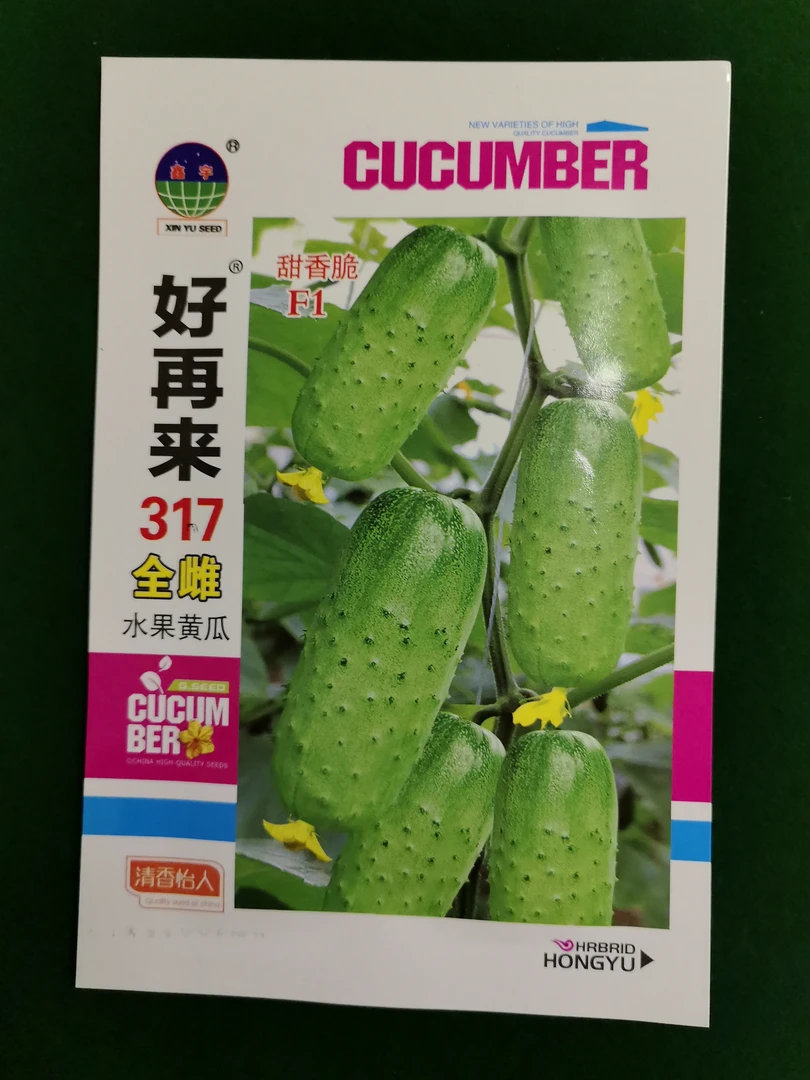 全雌317水果黄瓜种子50粒