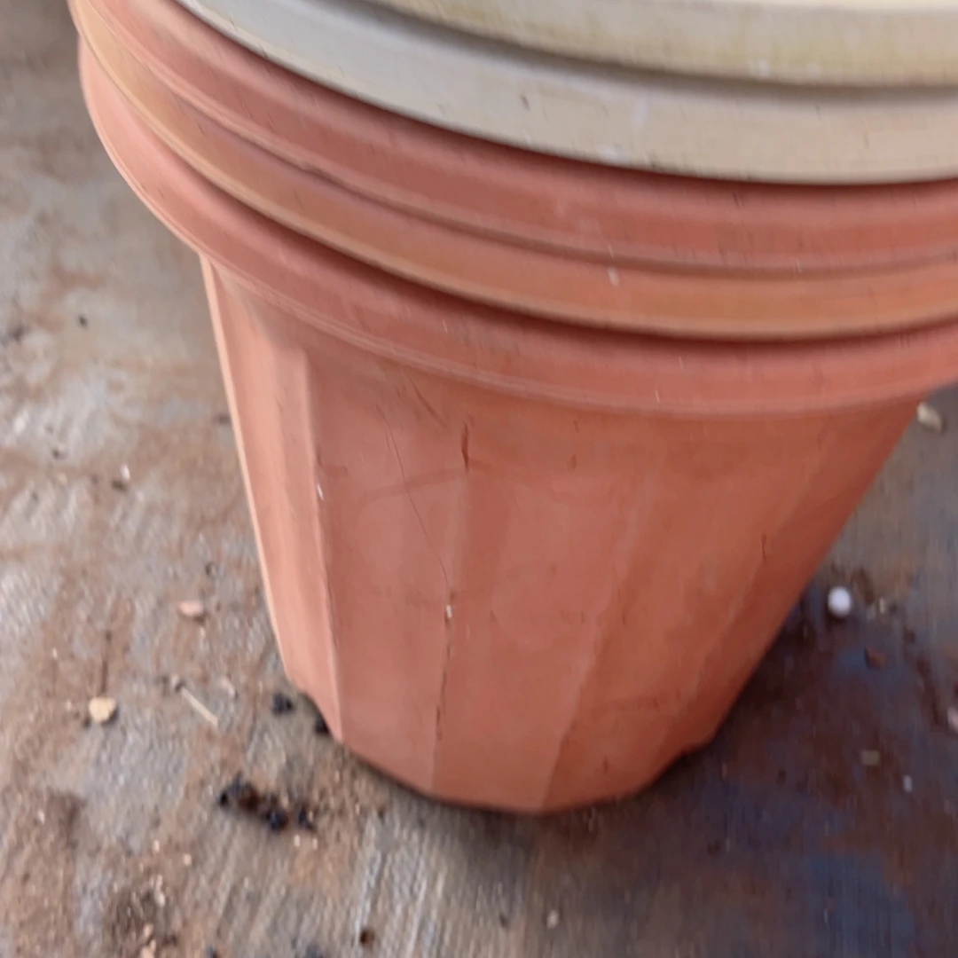 红砖罗马柱盆 32口径30高 5个