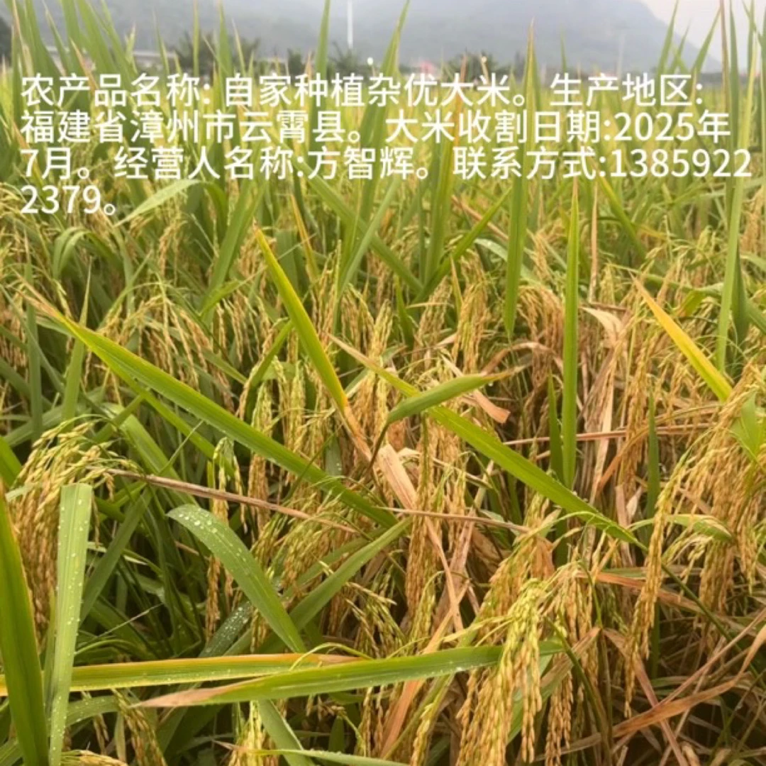 杂优大米，农家天然种植，米汤香醇，淘米水浓郁，原滋原味无加工。