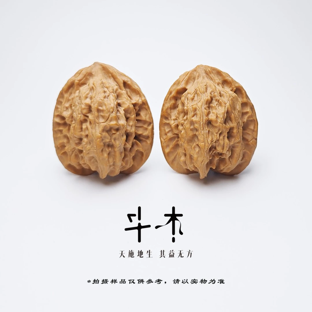 【斗木】原生赤焰（独家）