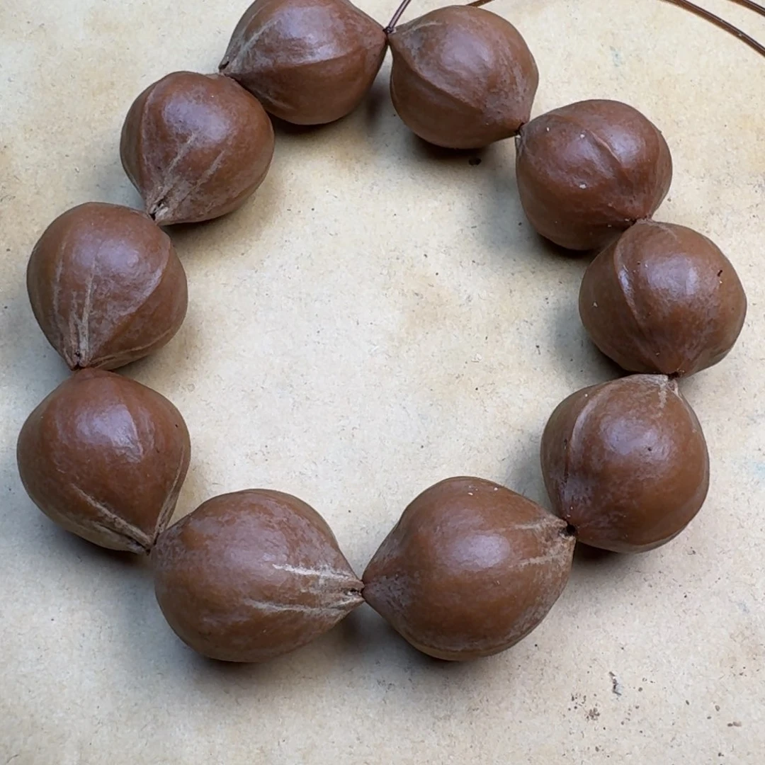 橄榄核手串/手链1