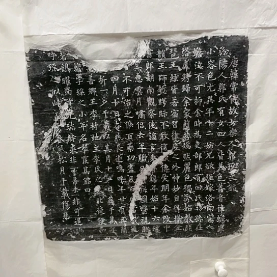 【闪购商品】拓片用纸其他郭瑶