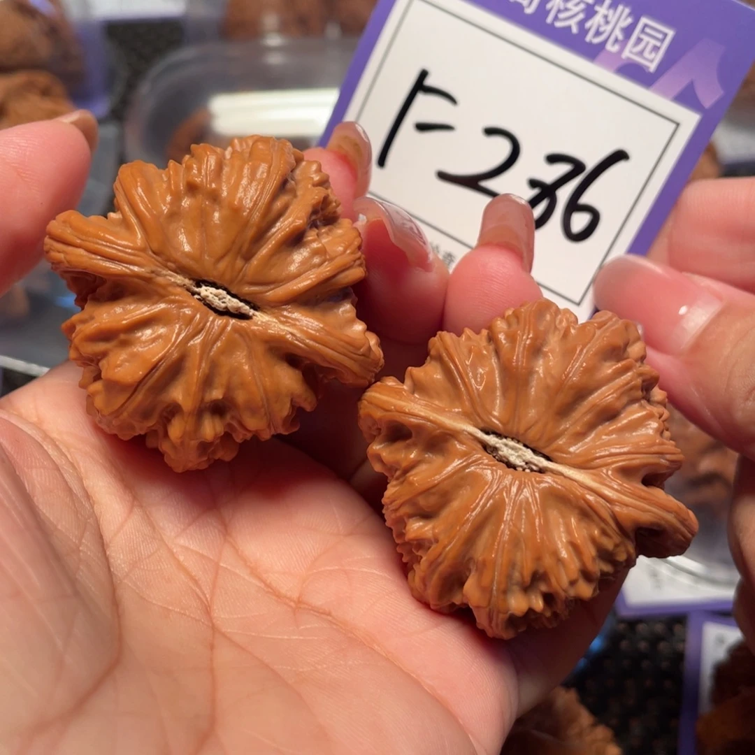 毒***i把件桃核286号白狮子43