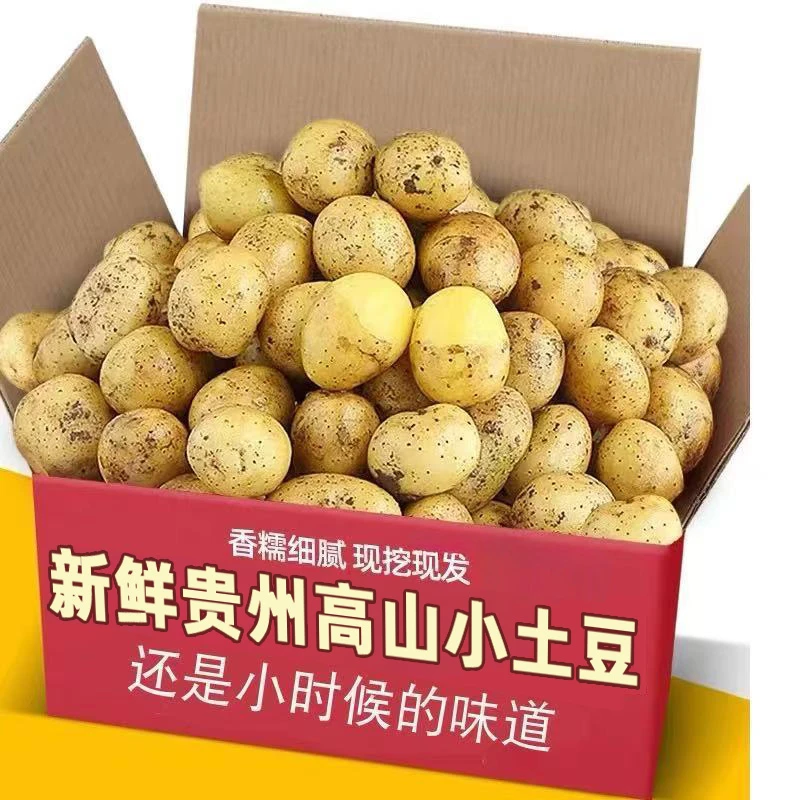 【25年高山小土豆】贵州黄心小土豆洋芋马铃薯时令蔬菜新鲜现挖糯