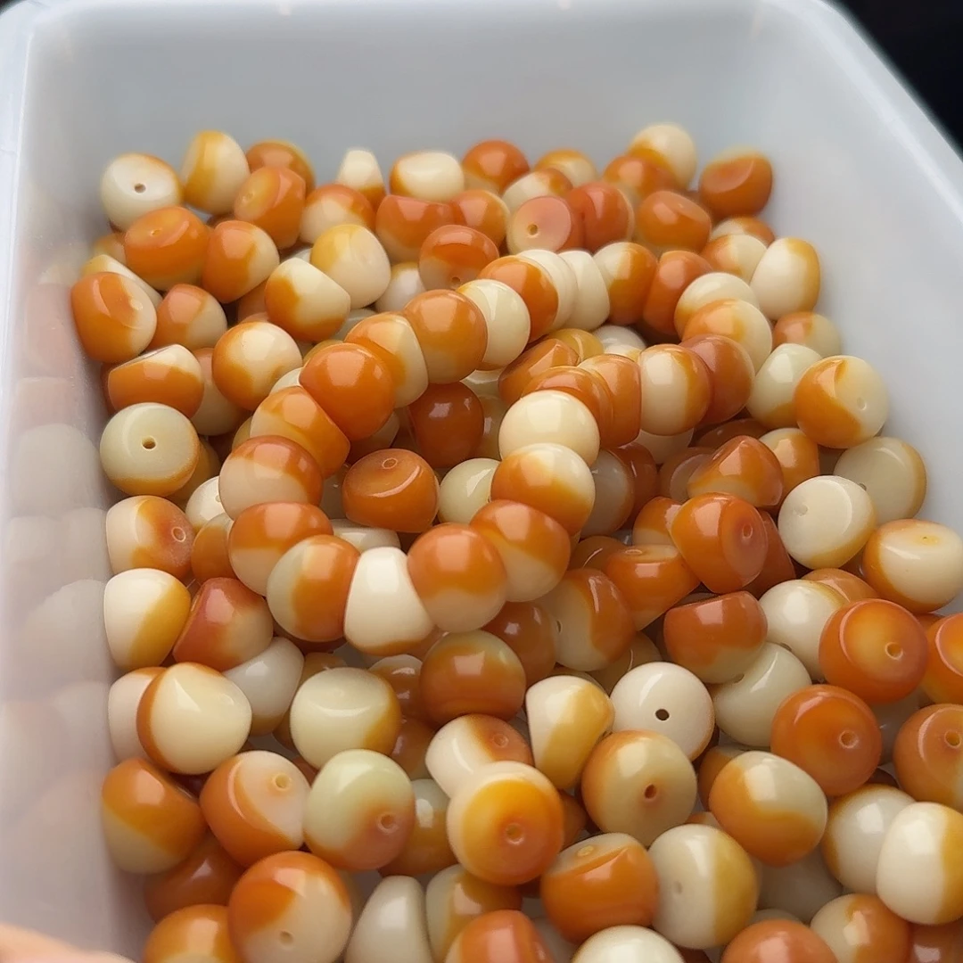 吊坠菩提根/象牙果50 颗蛋黄蒜瓣 14