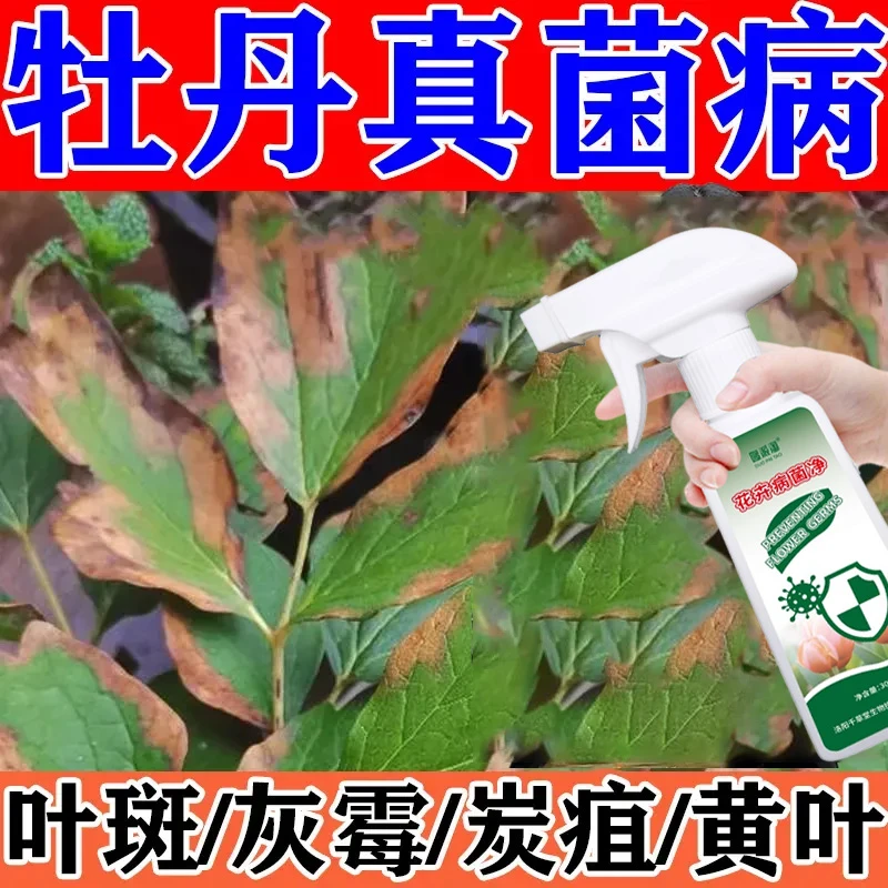 牡丹真菌净专用病害喷剂黑斑病黄叶病白粉病炭疽病病害清营养液肥