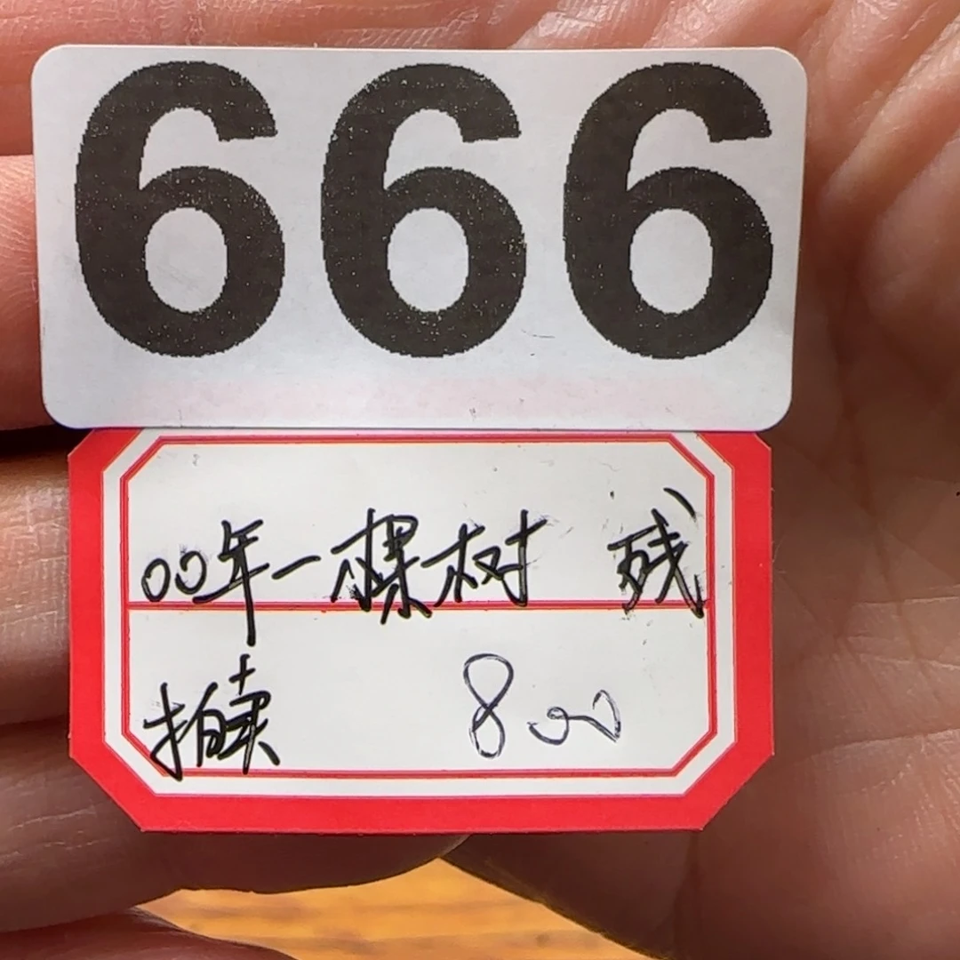 茶杯紫砂江*666 …………………………