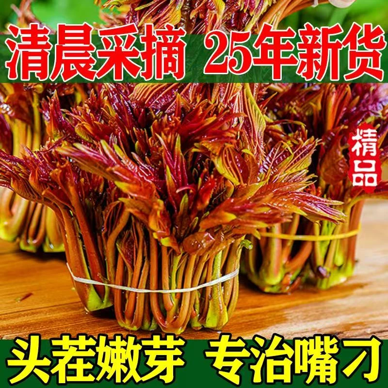 【香椿头茬】上午摘下午发四川新鲜红油香椿芽红牙香椿250克起