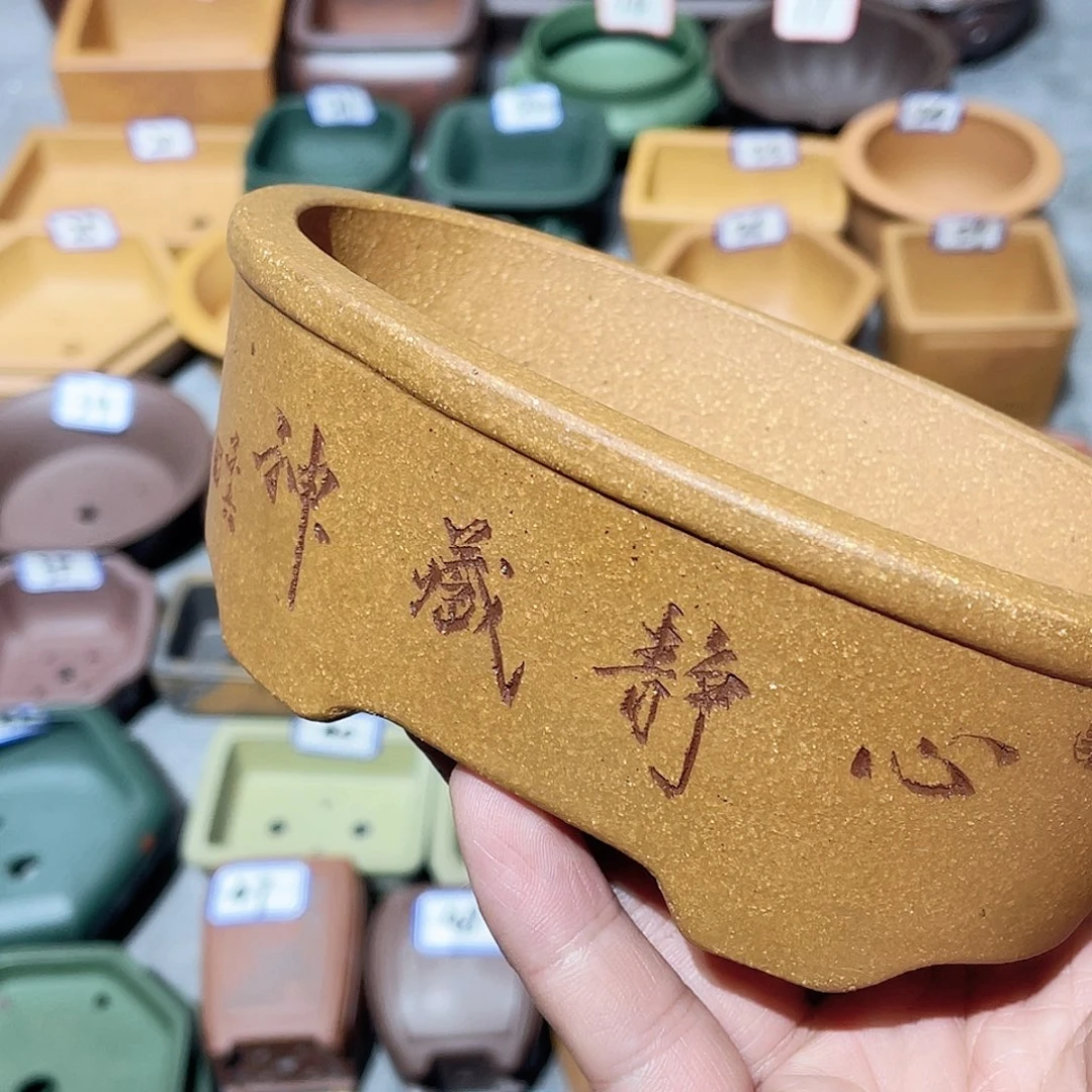 紫砂小盆12.8*8.5*4