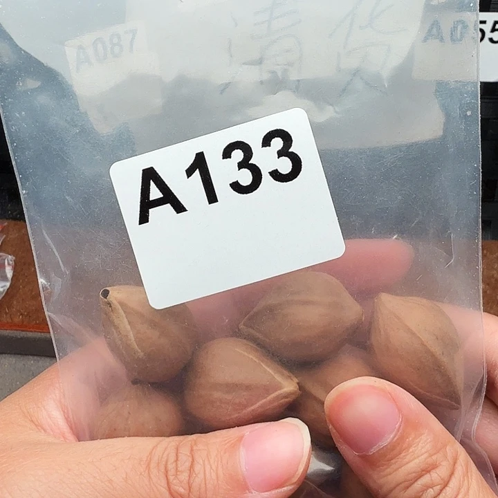 柠***宝手串/手链橄榄核橄榄