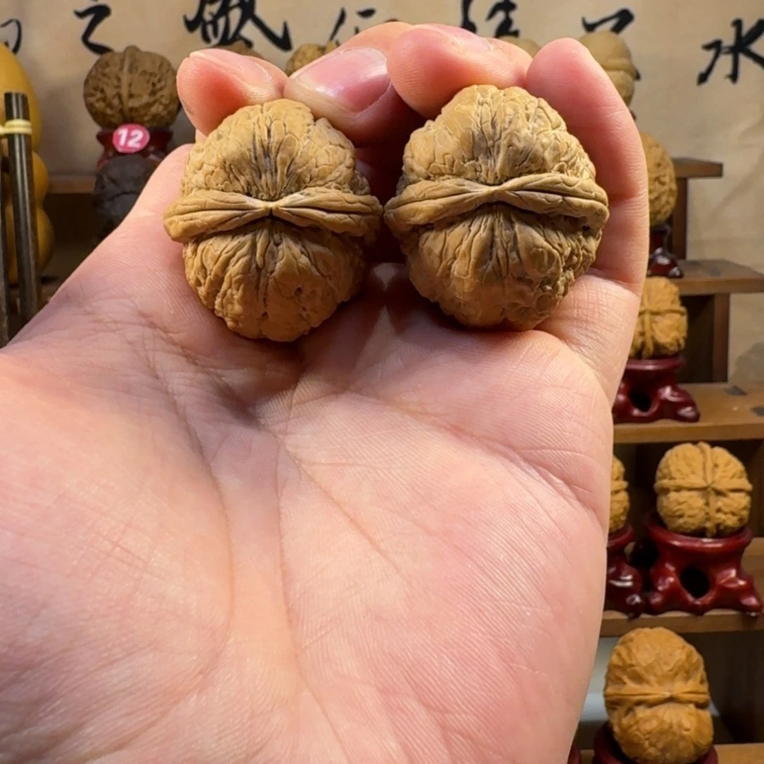 铁核桃把件粗筋小树蛙