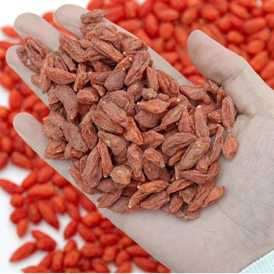 新疆无熏染精河枸杞颗颗饱满泡茶泡水煮粥煲汤滋养肾气无硫磺熏染