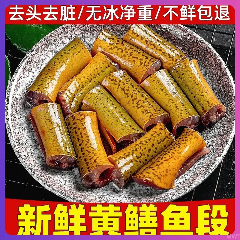 黄鳝 鳝鱼鲜活现杀新鲜发货鳝鱼段 口感鲜嫩 顺丰冷链