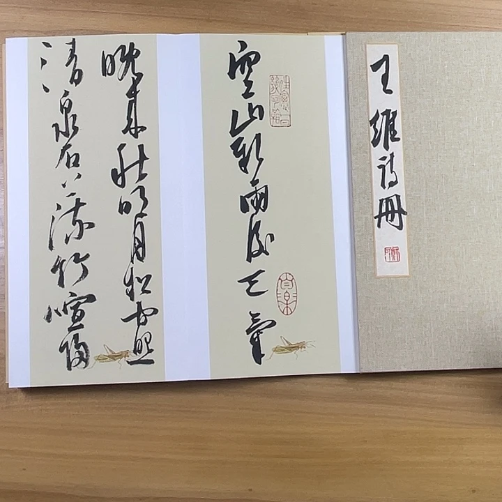 书法中书协老师作品