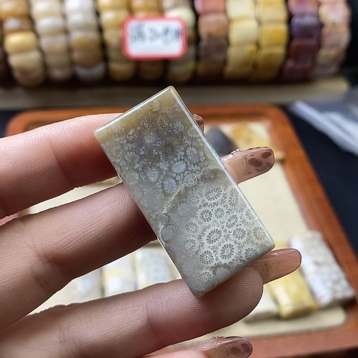 硅化珊瑚（珊瑚玉）未镶嵌颈饰