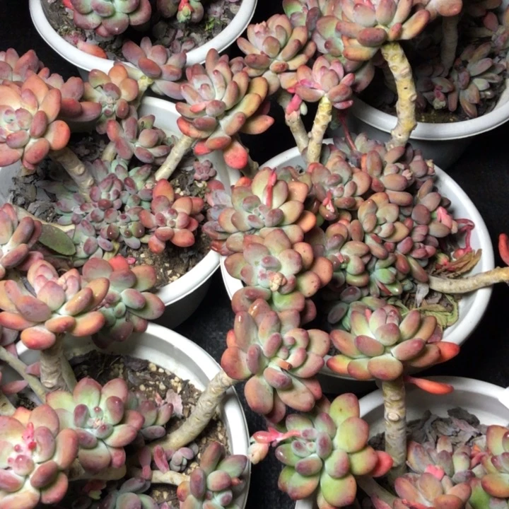 35/////////////////////