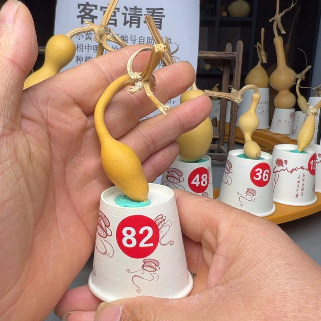 闪电购自助下单编号82