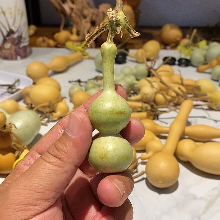 安****厂精品葫芦手把葫芦22