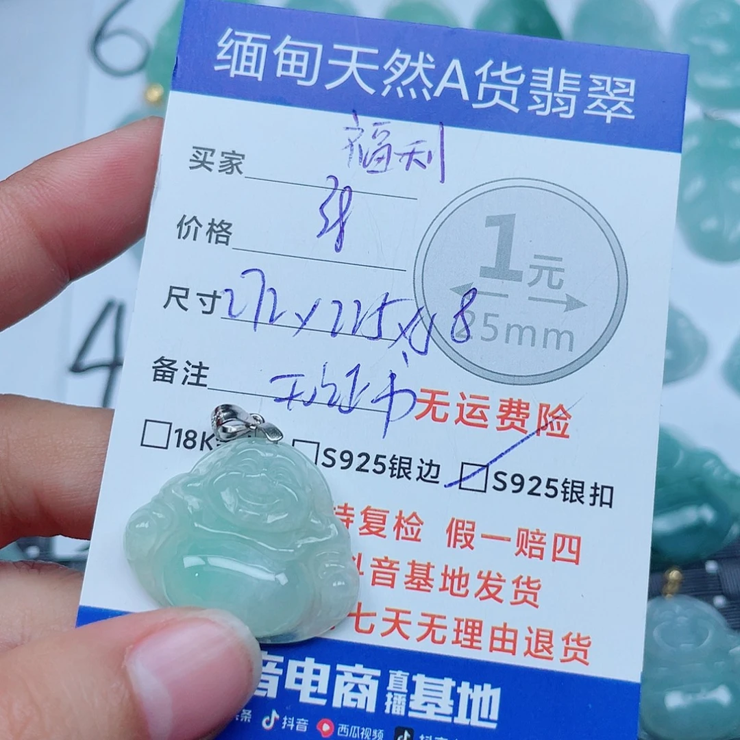翡翠银S925镶嵌颈饰翡翠