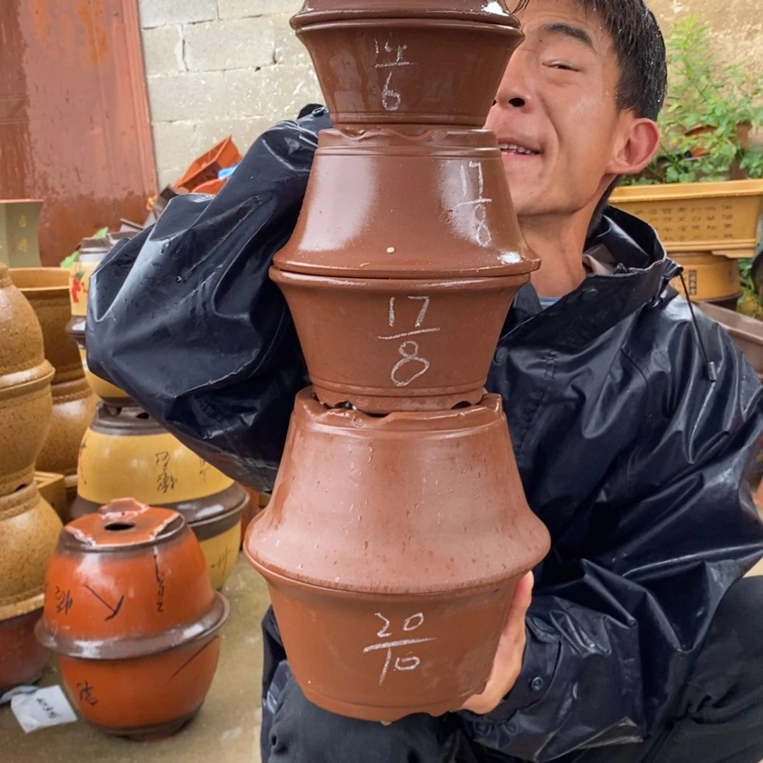 紫砂紫砂紫砂紫砂