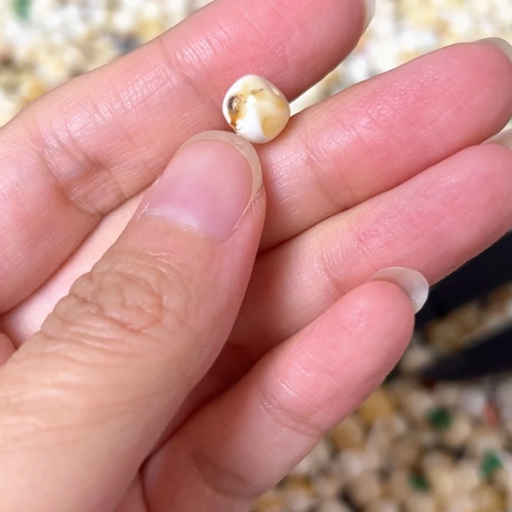 裸石蜜蜡未镶嵌8mm一个