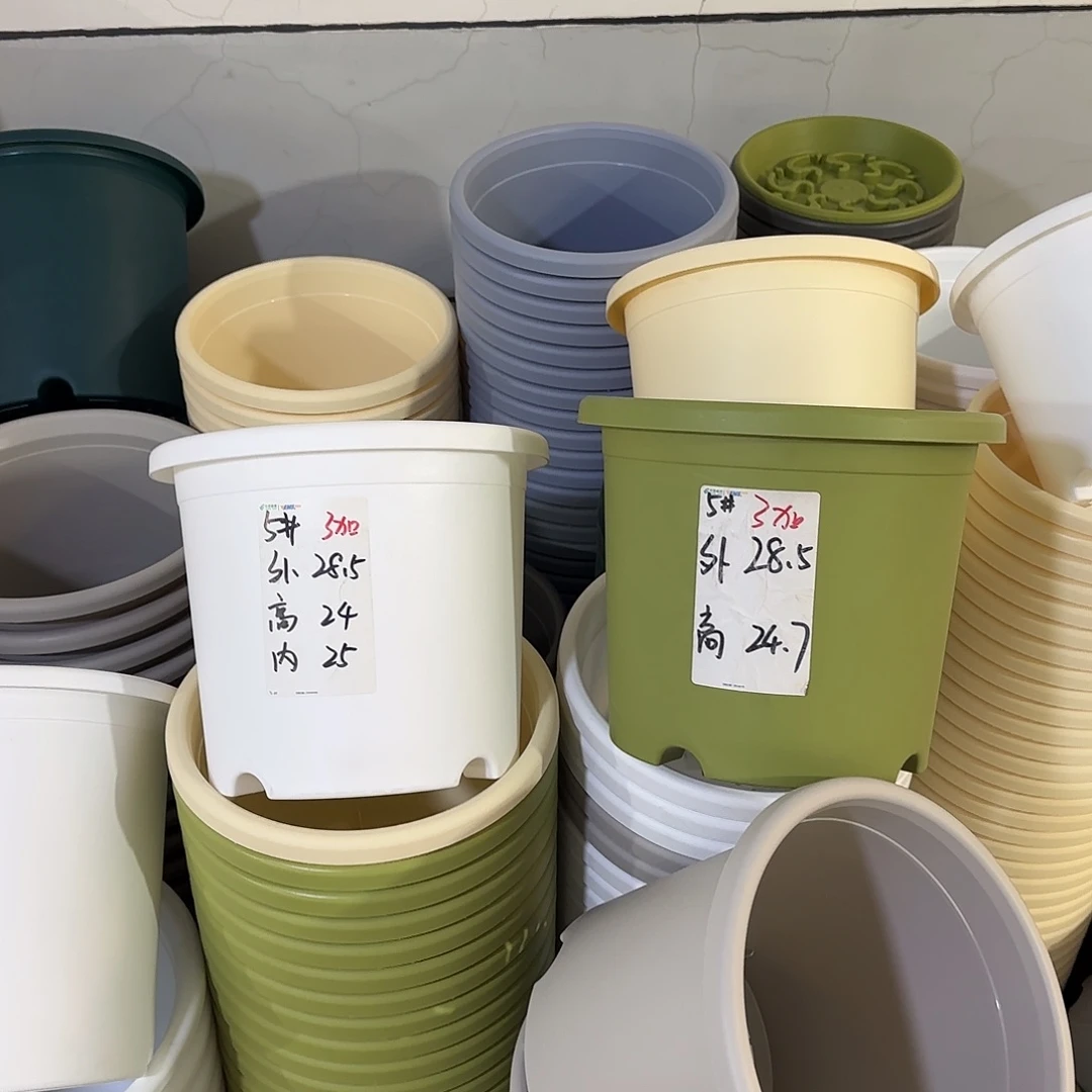 微瑕5号6个无托，白色